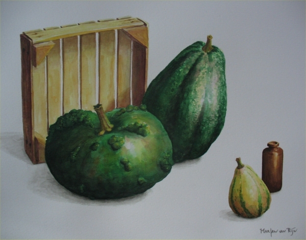 Houten kistje met kalebassen, 40x50 cm, Aquarel 2010