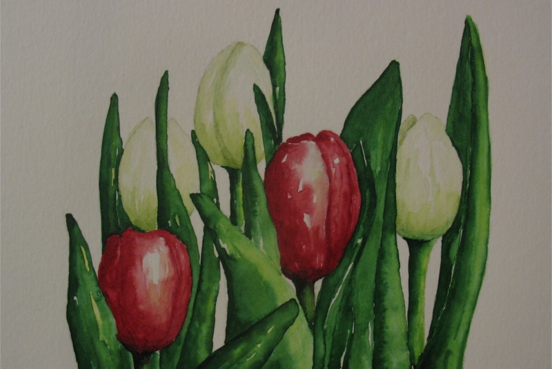 Tulpen, 10x15 cm, Aquarel 2010